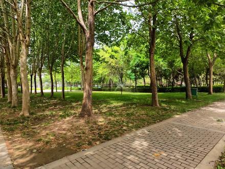 路灯维修,户外电路维修,线路跳闸维修,郑州电路上门维修 #郑州电路维修#诡异跳闸#德力西起子机#插座跳闸维修#厨房跳闸