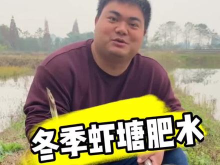冬季虾塘肥水,你是怎么做的?#小龙虾 #水产养殖 #科普