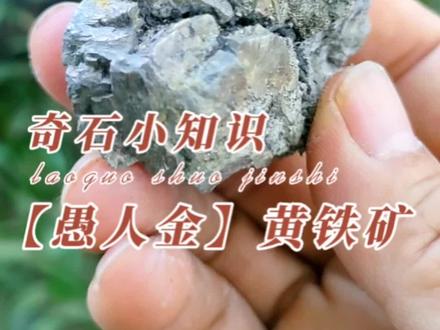 老郭说金石:奇石小知识之“愚人金”黄铁矿#科普#以石会友#矿物#奇石#正能量