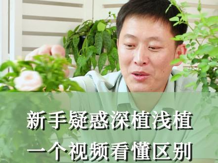 大家疑惑月季深植与浅植的区别,今天狼哥一个视频给大家讲清楚哦~#天狼月季 #月季养护 #分享家庭养花知识@抖音小助手@天狼的花园#种植小技巧