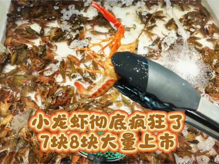 小龙虾价格已经彻底废了,七块八块一斤,中青才10块钱起,最大的28买的多还有优惠,小龙虾自由时间开始啦,实在太便宜吧!#小龙虾 #小龙虾价格 #小龙虾降价了 #菜市场 #苏州最便宜的菜市场