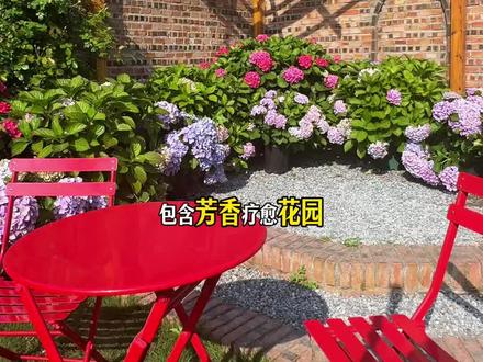 聊城斥巨资打造的芳香沐野花海开园啦!五一早鸟票开抢!#花海 #薰衣草花海 #五一去哪儿 #花海小火车 #旅行推荐官