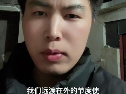 什么澳洲野狗,这就是我们的大黄,真得有骨气!#澳洲野狗 #中华田园犬 #土狗 #大黄