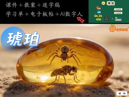 AI再现🔥四下琥珀的形成,科普文这样教超有趣! 四年级下册语文,AI赋能公开课包括:
AI数字人➕课件➕教案+逐字稿➕学习单➕电子板帖✅#琥珀公开课 #琥珀课件 #四年级下册语文公开课 #四年级下册语文 #ai赋能公开课