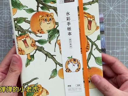 飞乐鸟水彩本开箱测评#钢笔淡彩 #水彩