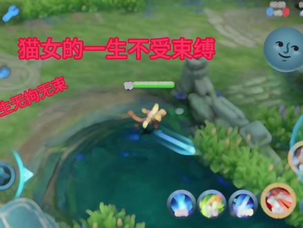 猫女的一生不受束缚#猫女#不受束缚#无拘无束#抽象#王者荣耀