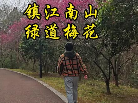 镇江南山绿道梅花#镇江好玩的地方 #春梅