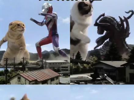 猫咪大战怪兽ai生成指令 猫咪大战怪兽ai特效制作教程 猫咪大战怪兽ai ai猫咪大战奥特曼 萌宠大战怪兽ai生成 小云雀ai使用教程 #猫咪大战怪兽ai #ai猫咪大战奥特曼 #小云雀AI #小云雀爆款马上成片 #小云雀seedance ai宠物大战奥特曼 ai萌宠大战奥特曼教程 小云雀ai使用教程 小云雀ai免费使用教程 seedance2.0免费使用教程 seedance2.0制作入口 seedance2.0视频教程 猫咪大战怪兽ai指令 ai猫咪大战奥特曼指令 ai猫咪大战奥特曼特效制作教程小云雀ai使用教程 小云雀ai奥特曼教程 小云雀ai生成视频 小云雀ai奥特曼打架 小云雀ai奥特曼指令 ai奥特曼对战制作教程 小云雀ai怎么做奥特曼 ai奥特曼对战制作ai奥特曼对战制作 小云雀ai奥特曼教程