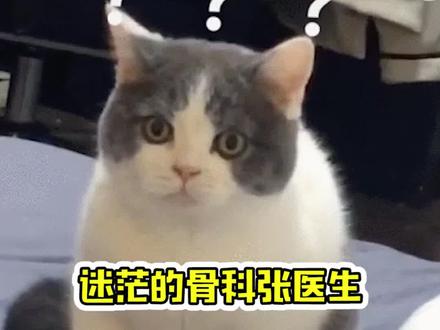 你的骨科,我的骨科,好像不一样?#骨科 #骨科张医生 #搞笑 #骨科cp