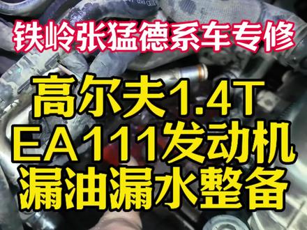 #发动机漏油漏防冻液 #大众EA111发动机漏油漏水 #铁岭张猛德系车专修 如果您也是开的德系车,也同样出现了漏油漏防冻液的问题,欢迎您来找张猛!
