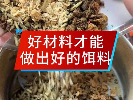 钓个鱼太卷了,我吃的都没这么好#自制饵料 #饵料配方 #饵料制作 #四海饵料