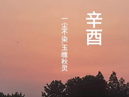 愿辛酉宝宝:
玉骨藏秋,不惹尘埃,
灵心自守,不问喧嚣,
于人间烟火中,做一个干净且清醒的人✨#辛酉#传统文化科普#颂钵疗愈#五行疗愈#辛金美玉