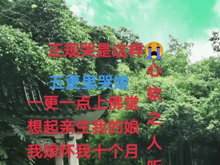 亲不要乱评论哈!不喜欢划过!好几个小年轻妹妹叫我录一段她学学:我就录我K歌里的给她学,正规哭法!么么哒👌