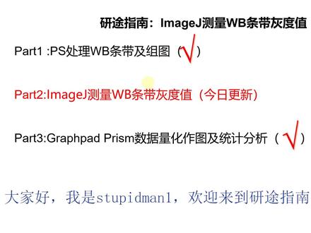 研途指南:Image J 测量western blot(WB)条带灰度值方法1
