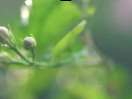 结婚当天,新郎没有来,怎么办#番茄小说推荐#小说#先婚后爱文#现代言情小说