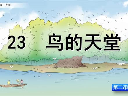 课文讲解-语文-5上-23 鸟的天堂(第2课时)