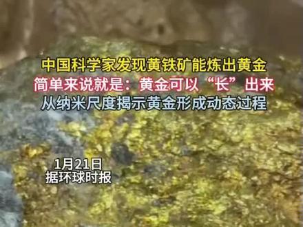 中国科学家发现黄铁矿能“长出”黄金(环球时报)