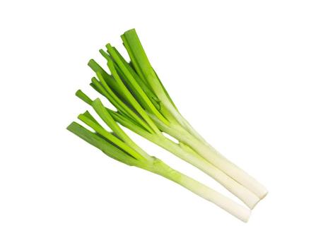 药食两用,葱白的妙处#大葱 #葱白 #涨知识 #中药本草 @DOU+小助手