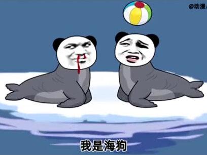 怎么区分海豹海狮海狗海象海牛,我太难了 "沙雕动画 "搞笑视频 "#关注我每天分享不同的搞笑故事 #神奇的海豹 #