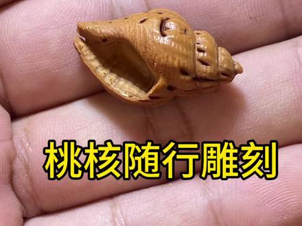 随形小海螺桃核雕刻 #桃核雕刻 #手工