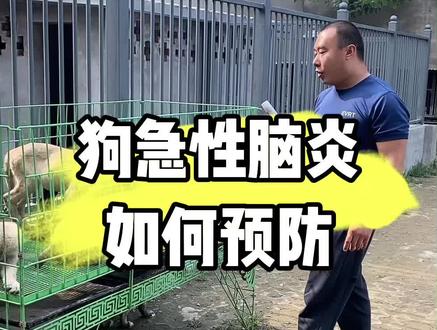 养狗要懂脑炎,死亡率第一,发病急,无预兆,发病致死率极高,所以要知道如何预防!看完视频别忘了点赞收藏,转发给更多的朋友!
#周可爱的阿童牧 #周可爱的卡斯罗 #养狗知识问答