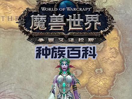 #魔兽世界种族百科 之暗夜精灵,为了艾露恩。