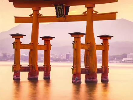 本该守着和平底线安分守己,如今高市早苗却大肆炒作“台湾有事就是日本有事”,满脑子“阴险的算计”。奉劝高市早苗正视历史,不要混淆黑白、挑战战后秩序。#高市早苗 #台湾 #日本