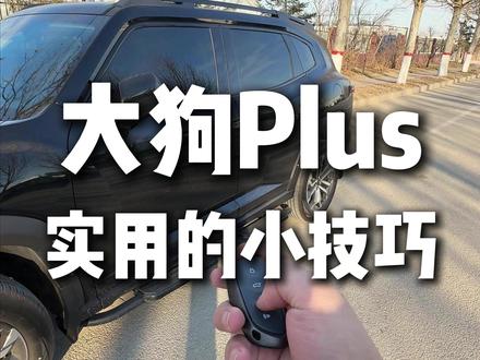 如果您也买了一辆大狗Plus,那这个实用的功能,您一定要知道!!!#哈弗大狗 #哈弗大狗Plus #汽车知识 #用车知识