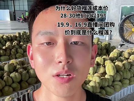 揭秘直播团购榴莲噱头骗局 榴莲国内市场因缺货涨价,导致许多商家已经动了歪心思去赚钱,拿着所谓的差榴莲冒充金枕榴莲搞活动,骗流量。今天给大家这一期视频避坑。如果你是想买一个品质好的榴莲。那么谨防上当受骗。#榴莲骗局#水果搬运工 #榴莲控#榴莲爱好者#水果批发