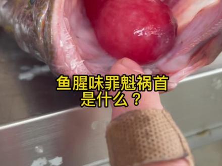 鱼的腥臭味是什么导致的?#海鲜 #科普 #鱼