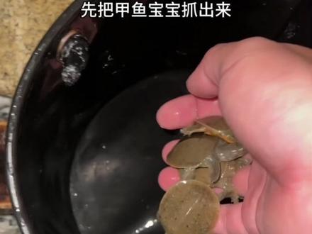 什么!我要发财了?#矿石 #秘宝 #黄金 #圆梦
