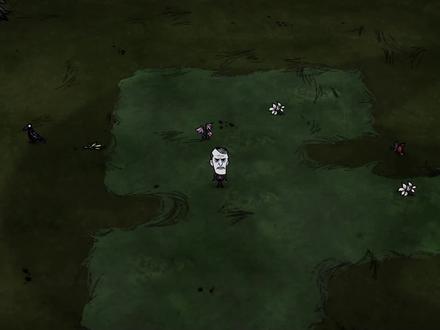 饥荒单机麦斯威尔:前往巨人国获得神器打龙蝇 #饥荒