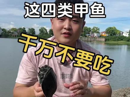 甲鱼你买对了吗?#甲鱼 #抖音新农人 #行业大揭秘 #内幕