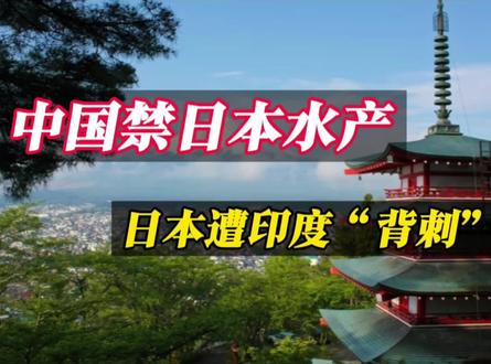 日本水产被禁!印度立马抢单,想替日本闯中国市场#热点