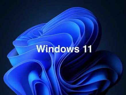 WIN11开启管理员账号#电脑知识 #电脑 #电脑技巧 #系统 #win11 #操作