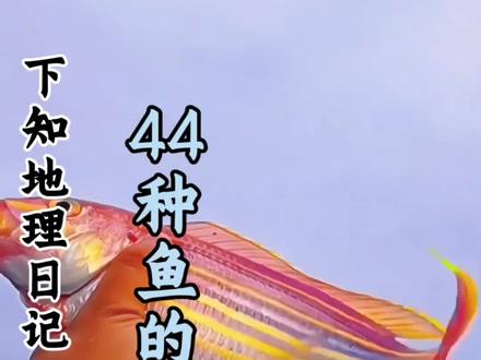 科普分享一些鱼的种类,你看你认识几种!#科普#分享#盘点#鱼