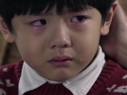 20. 我们家的男子汉 四年级语文下册第20课#四年级语文下册 #我们家的男子汉