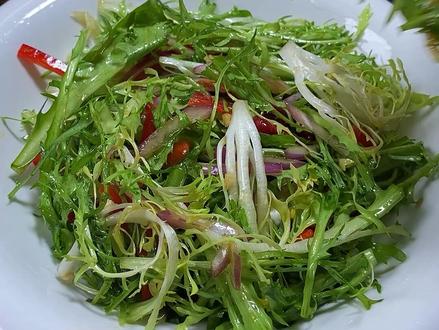 年夜饭你就像我这样做个凉拌苦菊,清淡解油腻,酸酸甜甜的,上桌比大鱼大肉受欢迎#年夜饭 #凉拌菜 #凉拌苦菊 #过年美食