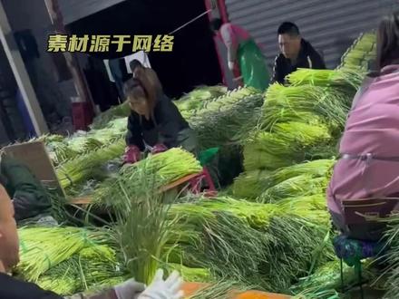 真是一场酣畅淋漓的蒜苔骚扰啊!#蒜苔#河南蒜苔#蜜雪冰城