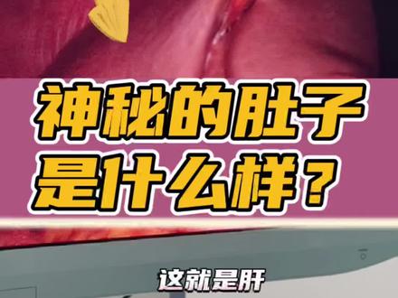 来看看腔镜下我们神秘的肚子里是什么样
#腔镜 #器官 #腹腔镜 #腹腔 #医学科普视频