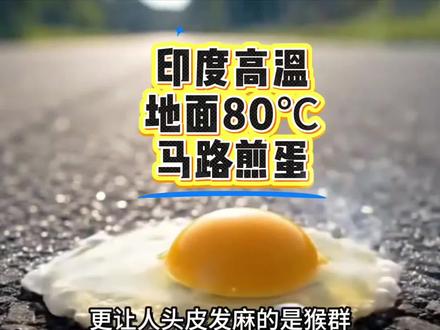 印度高温,地面温度80℃,马路煎蛋,猴子渴到作揖求人,看完彻底破防!#印度高温 #地表80度 #猴子讨水 #运水车配警卫 #极端天气