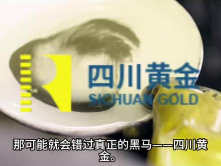 一天研究一家上市公司:四川黄金 2026年最新基本面分析,伊朗局势最新消息对今日金价的影响,#今日金价 #伊朗 #黄金 #金矿 #祝你马上成功马上发