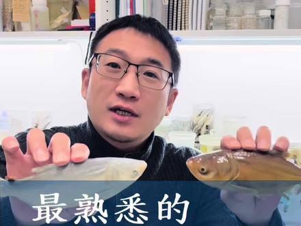 鲢和鳙 大家最熟悉的陌生鱼 钓鱼佬对鲢鳙最大的误解。口误:14万4千秒说成了144万秒,各位见谅
#科普 #钓鱼 #钓鱼人 #内容太过真实 #鱼类科研
