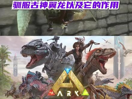 7-13 方舟手游-古神翼龙怎么驯服?以及他的作用!#方舟生存进化 #手机游戏#攻略教学