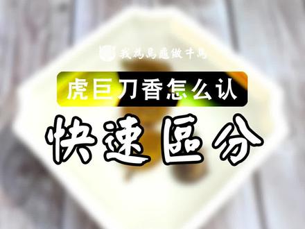 蛋龟四小花:虎纹巨头剃刀麝香苗,怎么区分? #蛋龟 #宠物 #龟 #萌宠