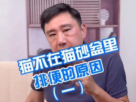 #宠物 #科学养宠 #训练 #养猫 猫不在猫砂盆里排便的原因“一” @抖音小助手