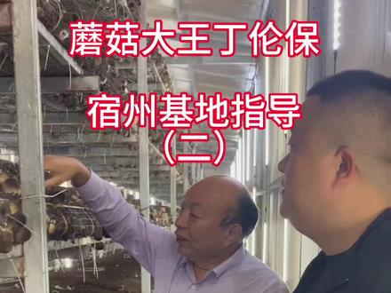 蘑菇大王丁伦保在指导