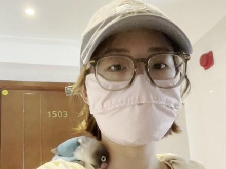 谁家小鸟出门这么乖啊!??#手养鸟日常 #萌宠vlog日常 #萌宠日常 #小动物们能有多治愈 #日常vlog