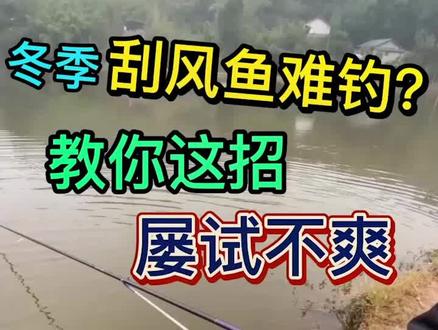 冬季刮风鱼难钓?教你这一招,屡试不爽!#户外钓鱼 #钓鱼