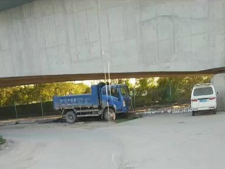 今年大治河第一场夜钓搞起,饵是黑水虻#户外钓鱼 #野钓